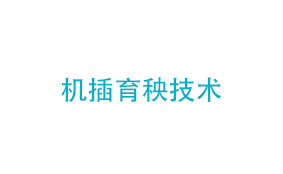 机插育秧技术